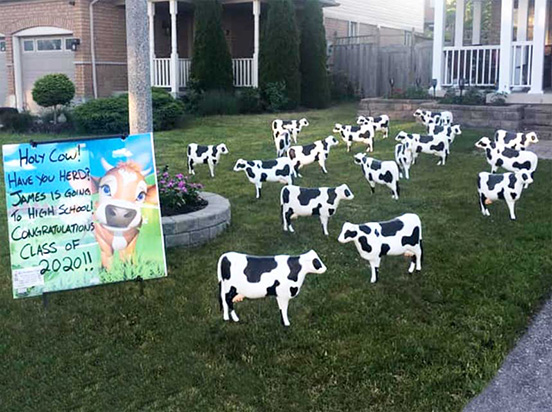 3D Lawn Sign